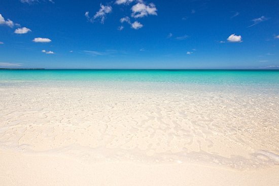 Baie de las Águilas