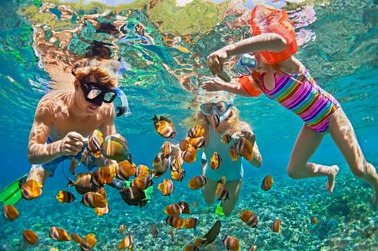 Faire du snorkeling
