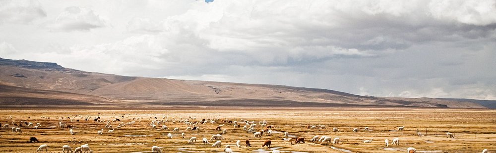 Reserva Nacional de Salinas y Aguada Blanca