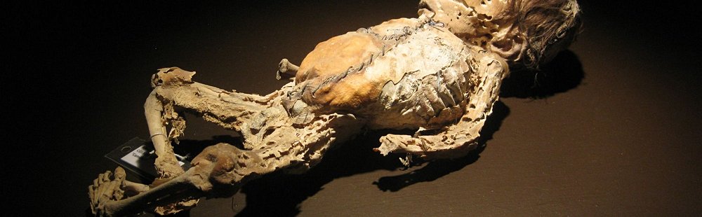 Le musée des Momies