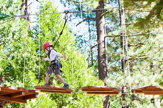 Treetop Adventure Park