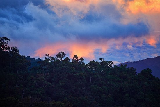 Cerro de la Muerte