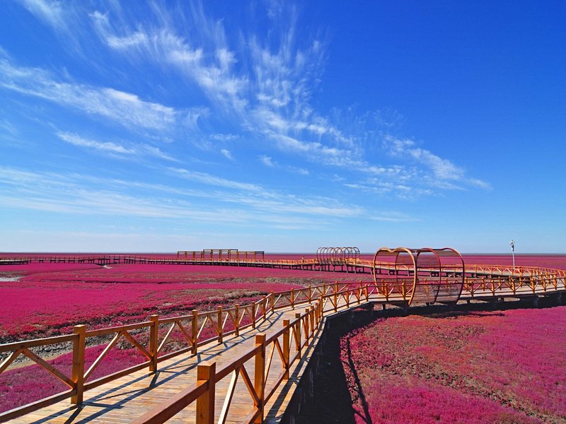 Plage rouge de Panjin