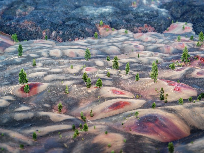 Dunes peintes