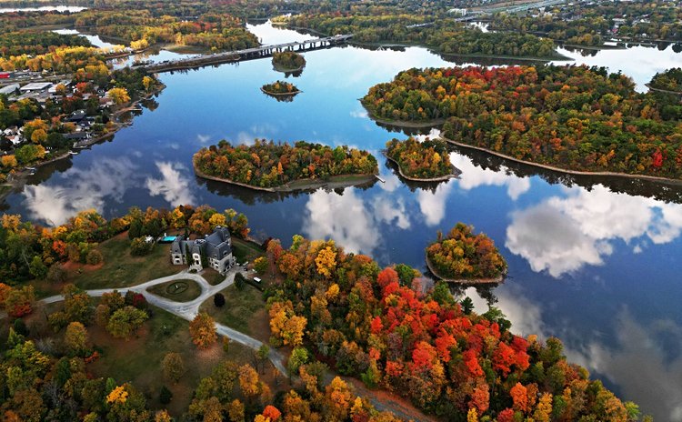 Forêt d'érables - Québec 2