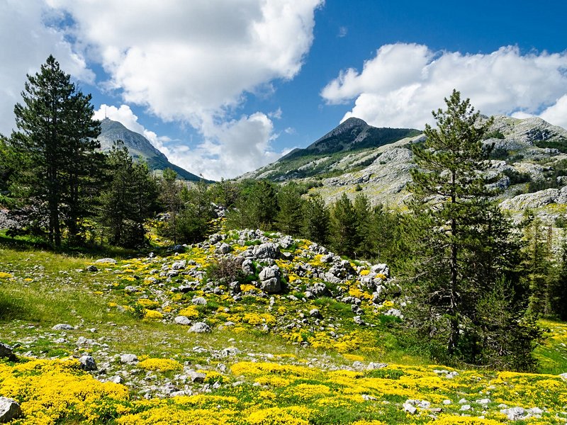 Le parc national de Lovcen