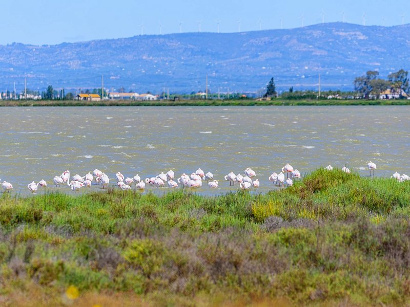 Delta de l’Ebre