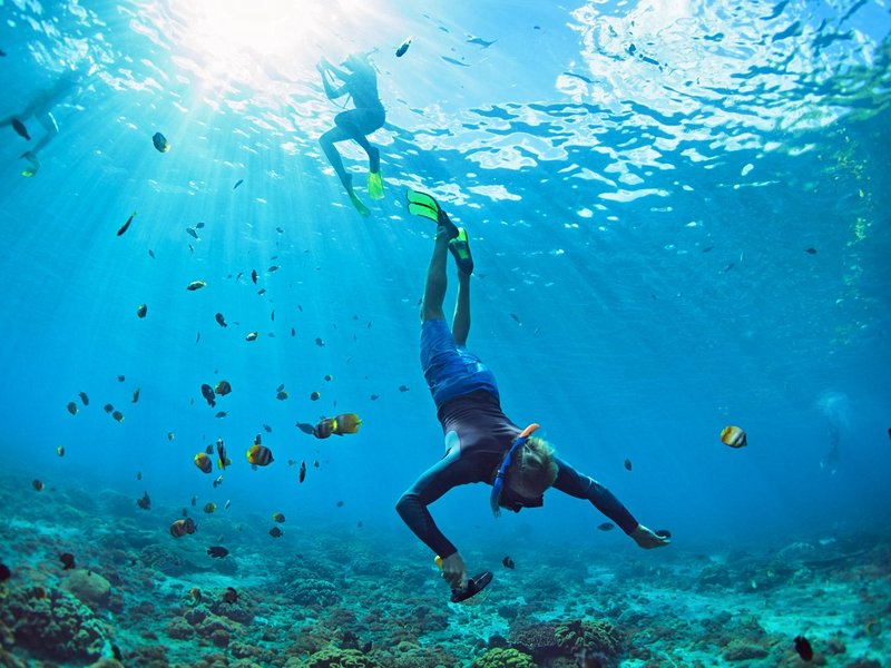 Les meilleurs spots de plongée de Phuket