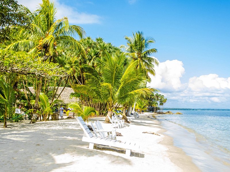 La playa Blanca à Livingston
