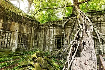 Beng Mealea