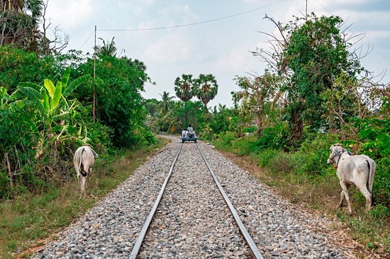 Bamboo Train (Norry)