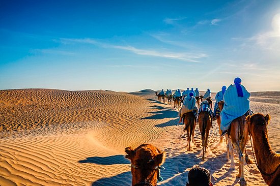 Faire un safari dans le désert