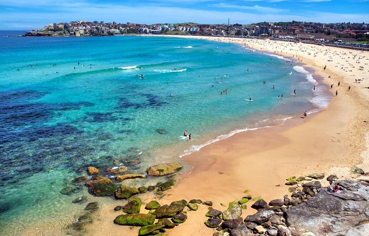 La plage de Bondi