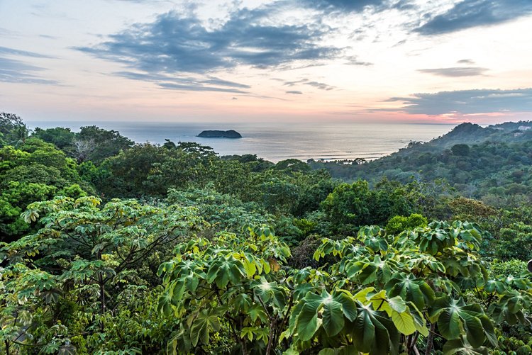 Le Parque Nacional Manuel Antonio 3