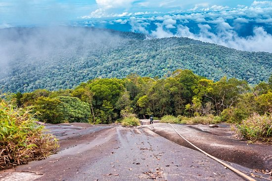 Parc national du Gunung Ledang