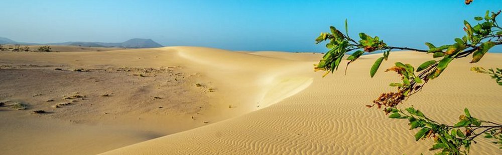Parc des dunes de Corralejo