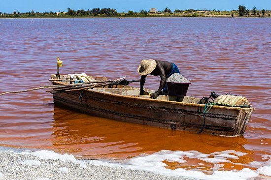 Lac Rose