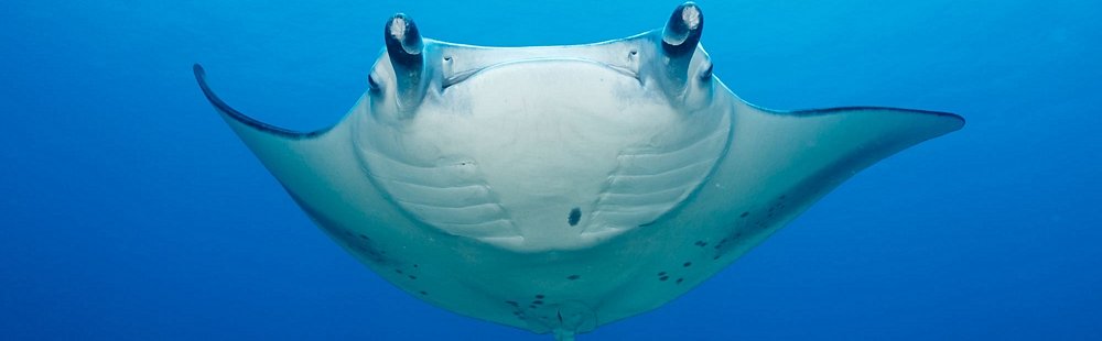 Laamu Atoll
