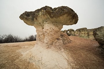 Les pierres champignons de Beli Plast