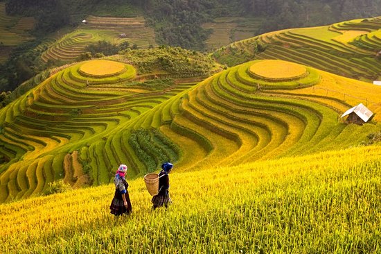 Sapa et les montagnes du nord Vietnam