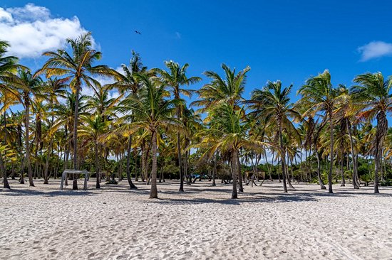 Parc national Morrocoy