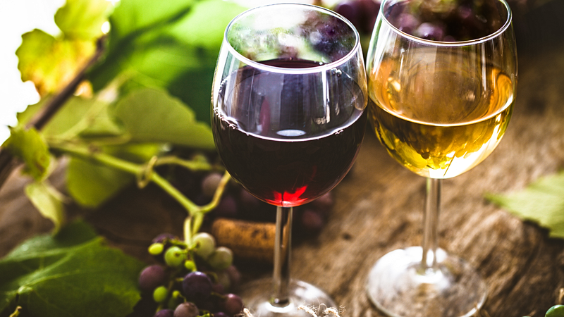 Dégustation de vins à Godinje