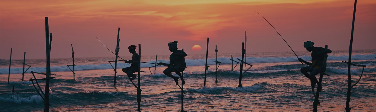 Galle