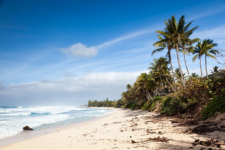 Les plages mythiques de Banzaï Pipeline et Sunset Beach 2