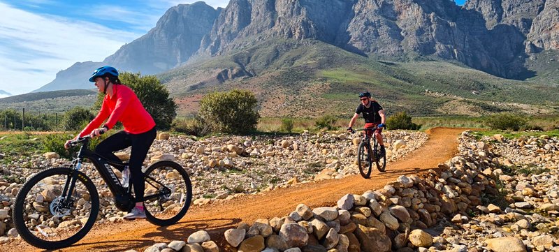 Excursion gastronomique à vélo à travers les vignobles