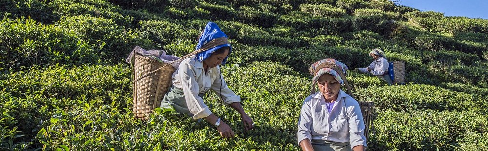 Darjeeling