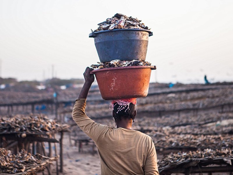 Kafountine, au plus près des pêcheurs sénégalais