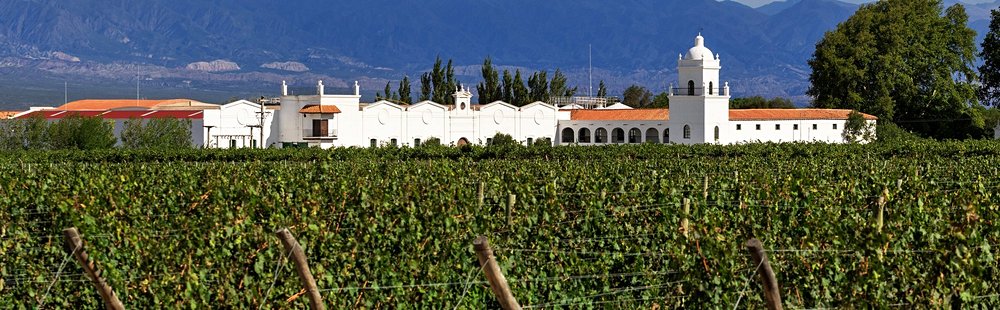 Mendoza
