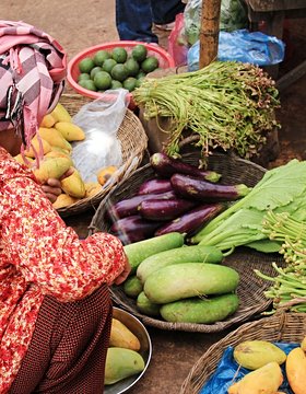 Les plus beaux lieux de Siem Reap