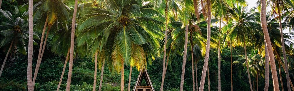 Passer une nuit en cabane sur la plage à Port Barton