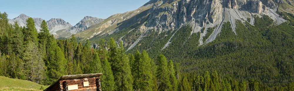 Parc national Suisse
