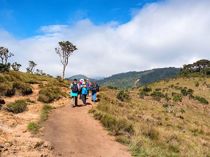 Randonnées au parc Horton Plains