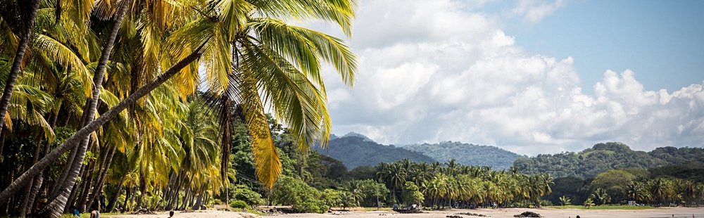 Tendance absolue : Tamarindo