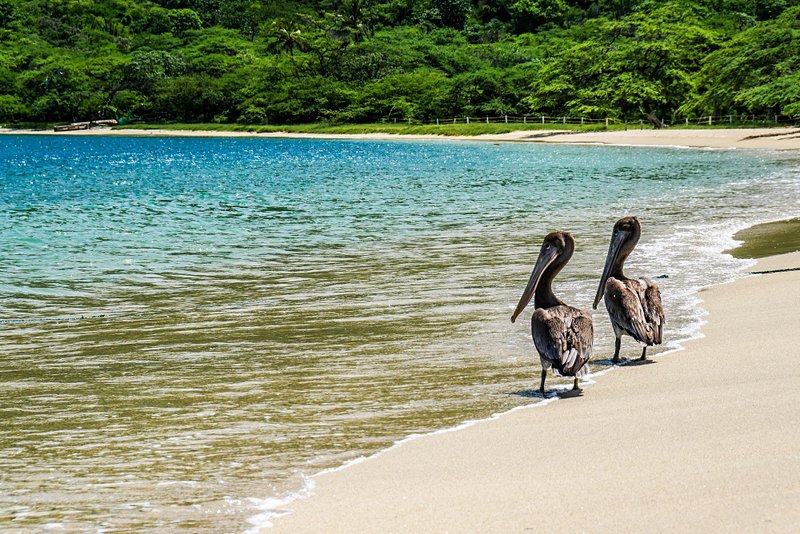 plage Bahia concha