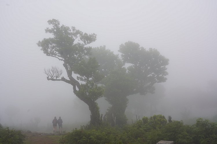 Randonnée PR13, Verada do Fanal 4