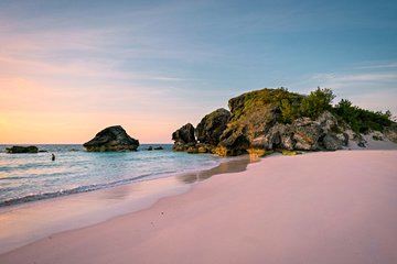 Pink Sands Beach