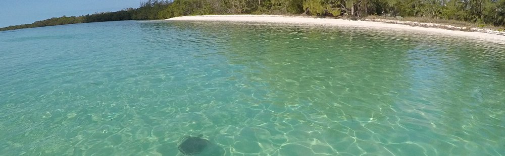 Shark Creek Beach à Great Harbour Cay