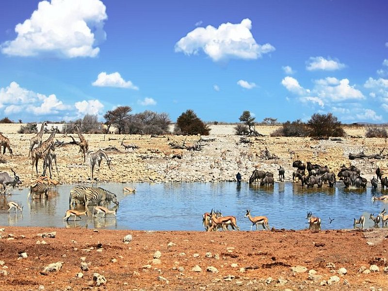 Etosha