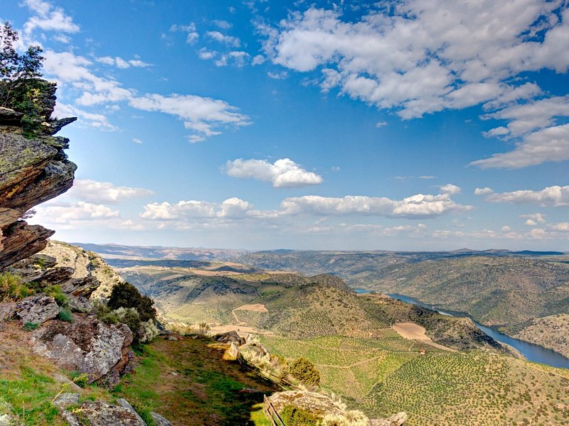 Parc du Douro