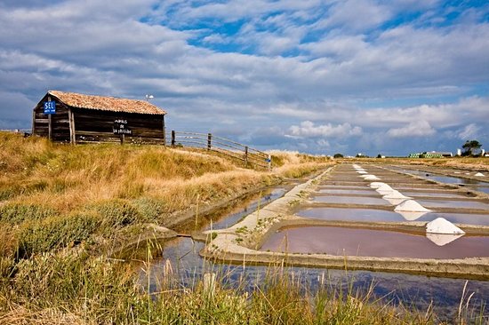 Le marais breton vendéen