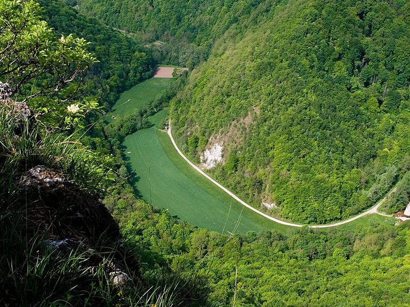 Parc régional de Kozjanski