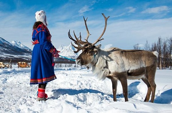 S’imprégner de la culture Sami à Kilpisjärvi