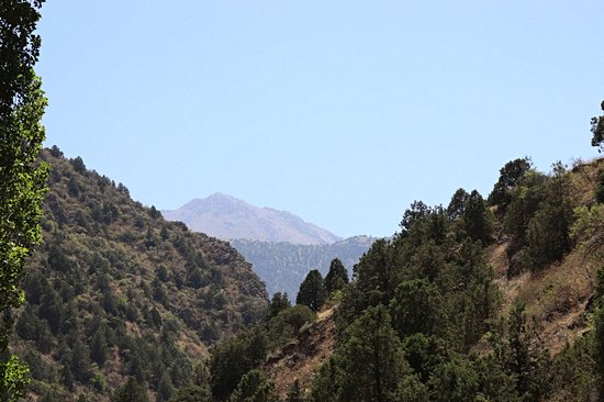 Zaamin National Park