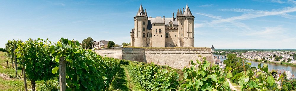 La route des vins