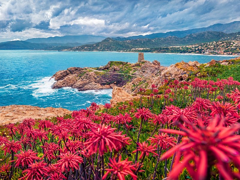 Cap Corse