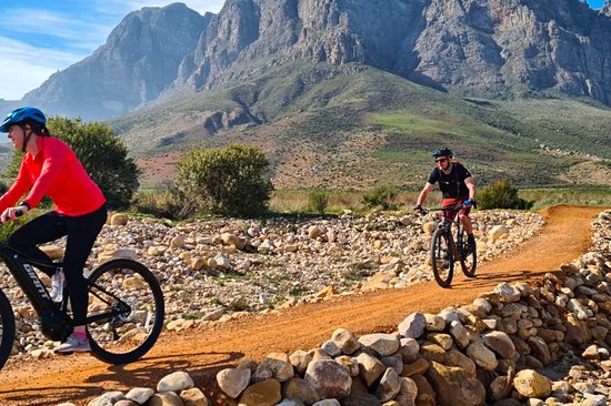 Excursion gastronomique à vélo à travers les vignobles